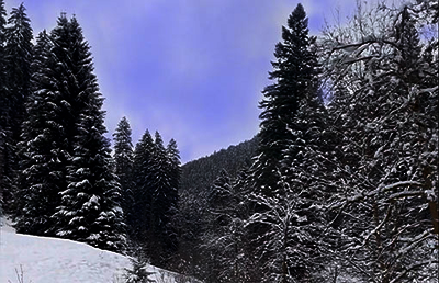 Winterlandschaft im Raum Baiersbronn